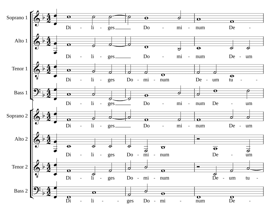 Возлюби Господа (Diliges Dominum)