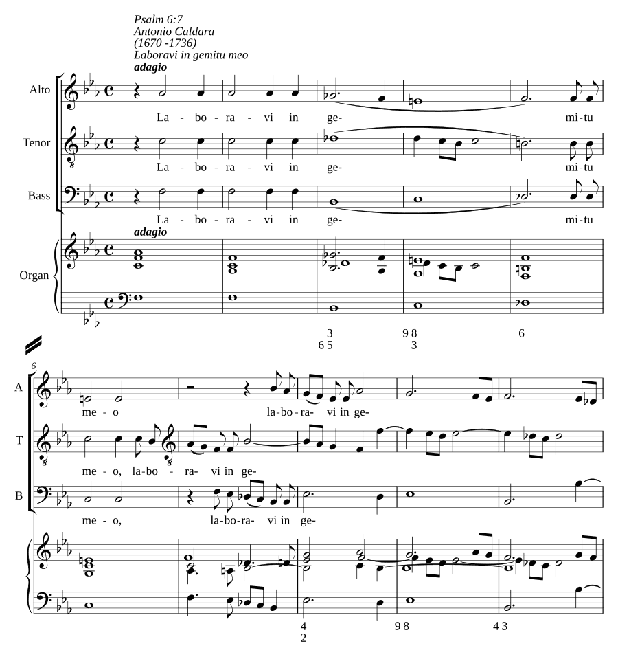 Я изнемог в стенаниях моих (Laboravi in gemitu meo)
