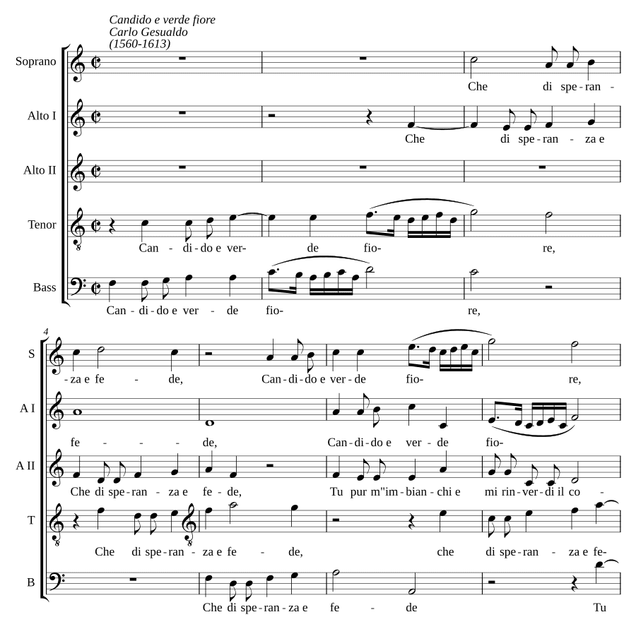 Белый и зелёный цветок (Candido e verde fiore)