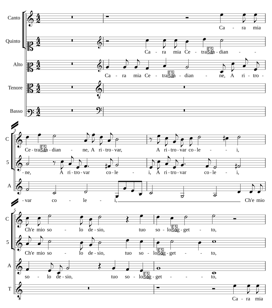 Моя дорогая цитра (Cara mia Cetra)