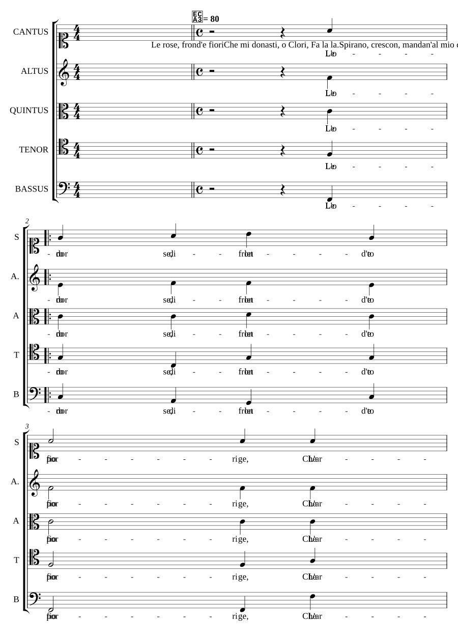 Розы, листья и цветы (Le rose fronde e fiori)